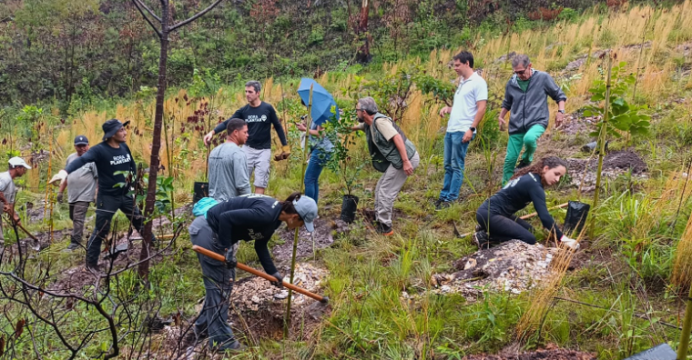 PBH realiza último plantio do ano e atinge marca de 37 mil novas árvores em 2024