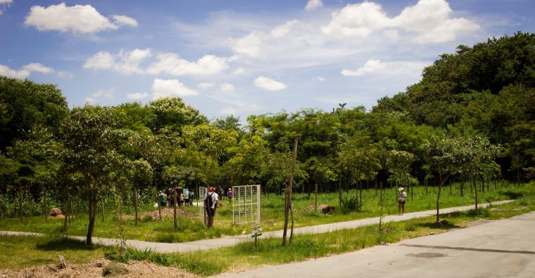 Horta do Centro Municipal de Agroecologia e Educação Ambiental para Resíduos Orgânicos (Cemar) da Prefeitura. Pessoas aparecem na pista de caminhada em meio à vegetação.
