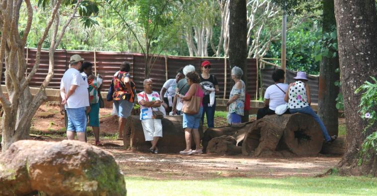 BH Em Férias - Parque Burlemarx