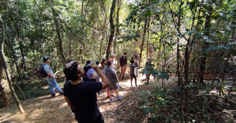 Parques municipais oferecem últimas trilhas gratuitas do ano Parques municipais oferecem últimas trilhas gratuitas do ano