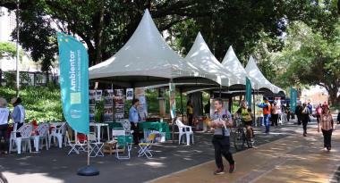  Última edição do Projeto Ambientar será realizada no Parque das Mangabeiras