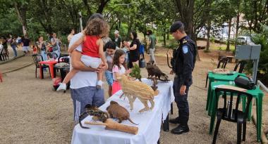 Programação gratuita de férias começa na próxima quinta-feira (10) em 19 parques