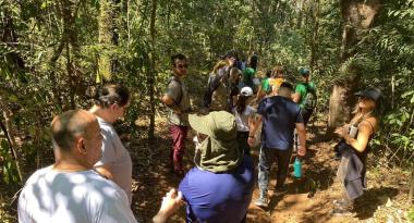 Trilha gratuita apresenta a biodiversidade do Parque Ursulina de Andrade Mello