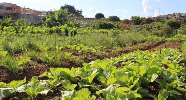 PBH inicia credenciamento de novas hortas comunitárias 