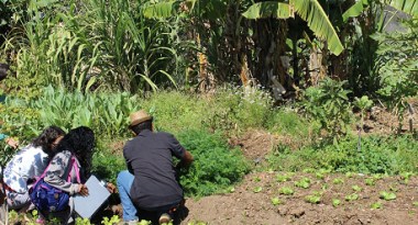 Inscrições abertas até 5 de agosto para 80 vagas do Trilha da Agroecologia