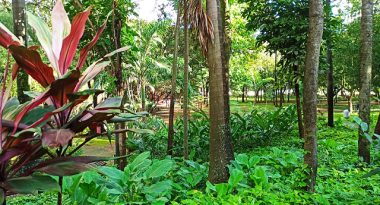 Trilha inédita no Parque Municipal promove a inclusão de pessoas com deficiência 