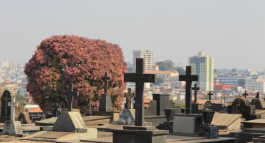Cemitérios municipais terão esquema especial para visitação no Dia de Finados Cemitérios municipais terão esquema especial para visitação no Dia de Finados