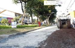Força-tarefa da PBH inicia limpeza e revitalização em avenida da Pampulha