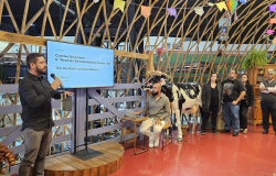 Comtur-BH celebra Dia da Gastronomia Mineira valorizando esse patrimônio cultural