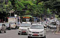 Taxistas terão que fazer exame toxicológico e seguro para atuar em BH