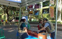 Parque Municipal e Zoobotânica oferecem atividades no aniversário de BH