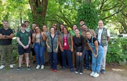 Técnicos de São Paulo e cuidadora de gorilas da Inglaterra visitam Zoo de BH