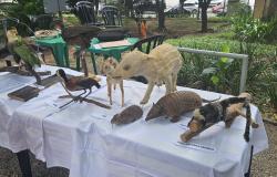 Parque no Bairro Betânia promove atividades de lazer e exposição neste fim de semana