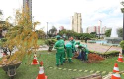 Prefeitura concluiu o plantio dos flamboyants da Praça Raul Soares