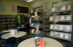 Projeto BEAGALÊ debate trabalho das bibliotecas públicas na promoção da leitura