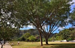 Centro de educação ambiental faz manhã de atividades sobre o Dia da Árvore