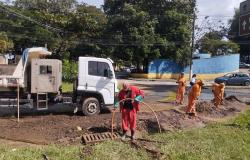 Força-tarefa da PBH mobiliza estrutura para limpeza de áreas afetadas por temporal