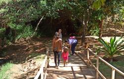 Trilhas gratuitas apresentam a biodiversidade de parques municipais