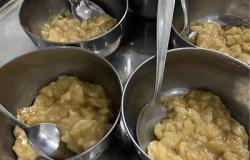 Curso fortalece boas práticas alimentares para crianças menores de 1 ano 
