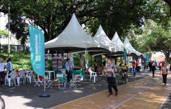  Última edição do Projeto Ambientar será realizada no Parque das Mangabeiras