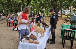 Programação de férias começa na próxima quinta-feira (10) nos parques de BH e Zoobotânica