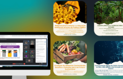 Ambiente em Foco Virtual debate governança e educação ambiental