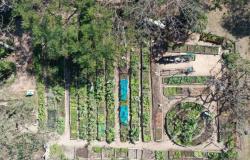 Prefeitura fortalece Política de Apoio à Agricultura Urbana em Belo Horizonte