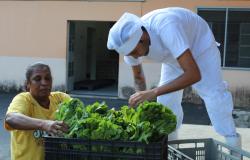 Banco de Alimentos da PBH doou mais de 300 mil quilos a instituições sociais