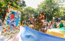 Mulher roupa carnavalesca de frutas e adereço no cabelo porta o estanderte do Bloco Alô Abacaxi, durante o dia; ao seu redor, muitos foliões.