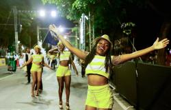 Prefeitura lança regulamento para o desfile de Blocos Caricatos do Carnaval 2020