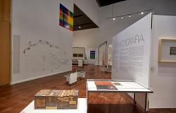Museu de Arte da Pampulha promove atividades gratuitas para estudo e valorização