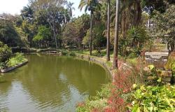 Parque Municipal completa 126 anos como parte da vida dos belo-horizontinos