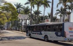 Prefeitura abre consulta pública para projetos de faixas exclusivas para ônibus
