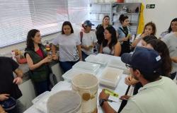Biofábrica de Joaninhas da Prefeitura recebe visita de Instituto Federal
