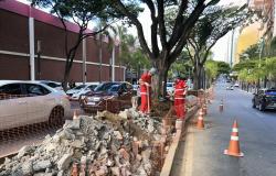 PBH revitaliza canteiro central da Avenida Augusto de Lima 