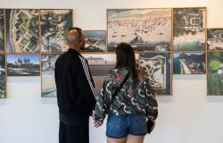 Na foto, um casal observa uma parede de quadros com fotografias da exposição "Trans:paisagem". Um homem e uma mulher estão de costas e à sua frente está uma parede branca com uma série de quadros com fotos dos jardins de Burle Marx.