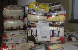Mais de 9 mil famílias já buscaram a cesta de alimentos ofertada pela PBH; prazo termina dia 15