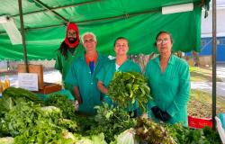 Quatro feirantes postados na banca, usando roupa verde, com as verduras expostas no primeiro plano.