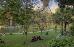 Foto do Parque Municipal. Algumas pessoas sentadas na grama, de frente para o lago.