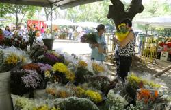PBH publica edital para feira de alimentação, plantas e artesanato no Barreiro