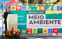Dia Mundial do Meio Ambiente: PBH anuncia Plano de Arborização, ProAr-BH e Escolas Verdes