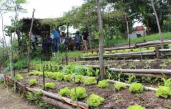 Prefeitura de Belo Horizonte inicia novas turmas de formação em agroecologia 