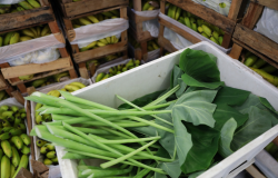 Prefeitura de Belo Horizonte qualifica profissionais na área de manipulação de alimentos 