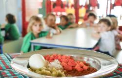 Em primeiro plano, um prato de inox contém arroz, feijão, cenoura em cubos, chuchu e um ovo cozido. Ao fundo, crianças estão sentadas ao redor de uma mesa no refeitório escolar, em um ambiente colorido e iluminado.