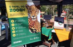 Imagem mostra um estande, onde há um banner alusivo ao tema: O papel do Zoo BH. Mostra também os cinco pilares dos zoos modernos: conservação, bem-estar animal, educação ambiental, pesquisa científica e lazer/recreação. Além do banner há também gaiolas e mesas. Uma criança aparece no fundo da foto.