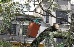 Prefeitura de BH intensifica reparos aos danos causados pela chuva
