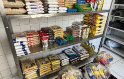 Parceiros como a Copa Centenário renderam 187 toneladas de doações ao Banco de Alimentos