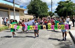 Escola municipal de BH realiza Carnadengue para conscientização contra a doença