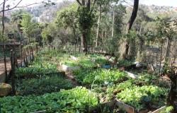 Oficina "Prato Colorido" leva educação nutricional aos CEVAEs Morro das Pedras e Taquaril