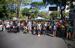 Atletas vestidos com roupas esportivas reunidos antes do início de uma corrida. Na imagem é possóvel ver parte da rua margeada por várias árvores.